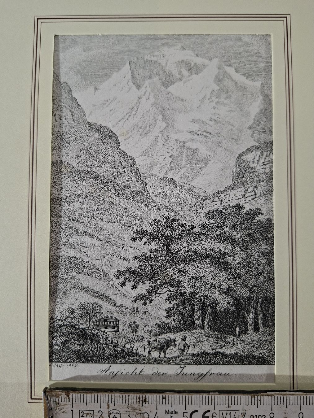 Incisioni: Lot  72 , 10 Stiche  – Usato da Grindelwald venduto da carro5 8