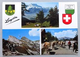 Leysin (1400 m)