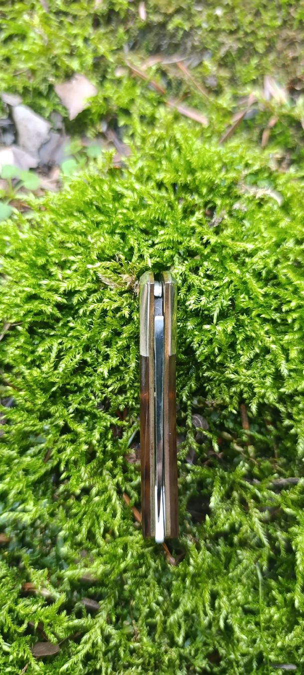 Winchester Taschenmesser: Winchester Taschenmesser  – Neu und originalverpackt aus Oppligen von can_rf8g 7