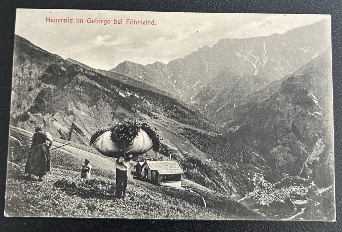 Cartes postales: Heuernte im Gebirge – D'occasion à Horw par Tellbub