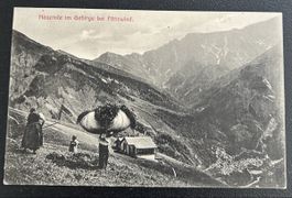 Heuernte im Gebirge