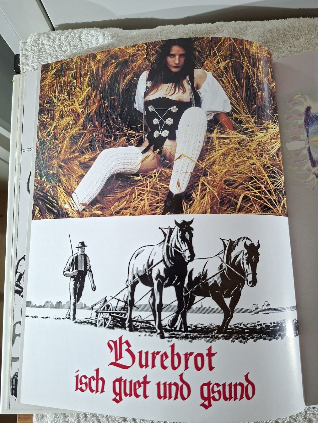 Libri: Bärn Biet, von Peter Aeschbacher – Usato da Grindelwald venduto da carro5 6