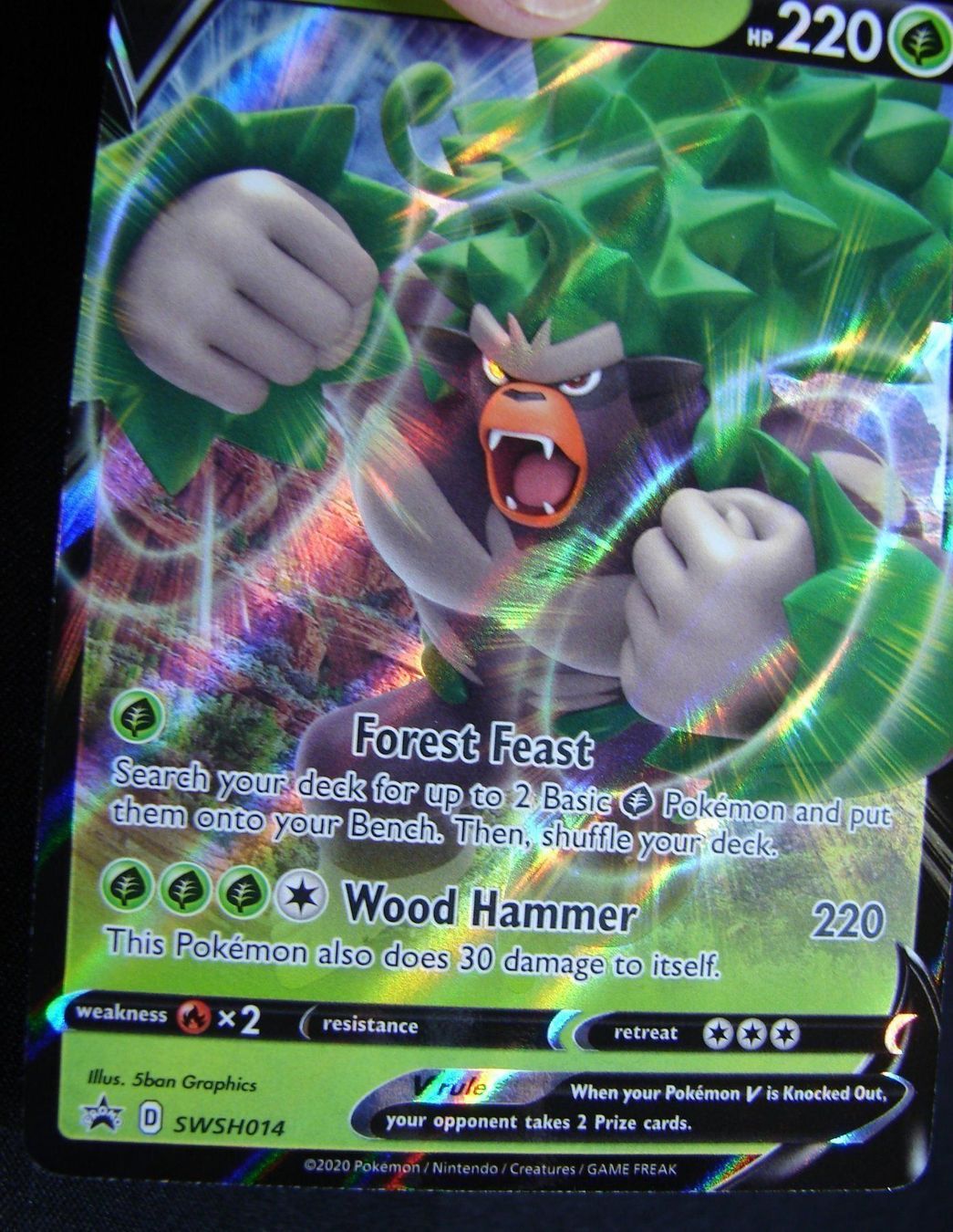 Pokémon Carte collezionabili: Rillaboom V - Promo - Mint           /34 – Nuovo (secondo la descrizione) da Rümlang venduto da coh_87ww 5
