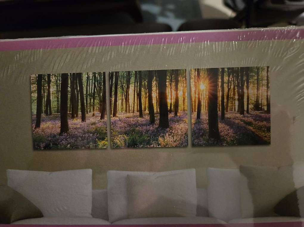 Dipinti: A vendre tableau en trois parties forêt  – Usato da Bulle venduto da mur_7mwd