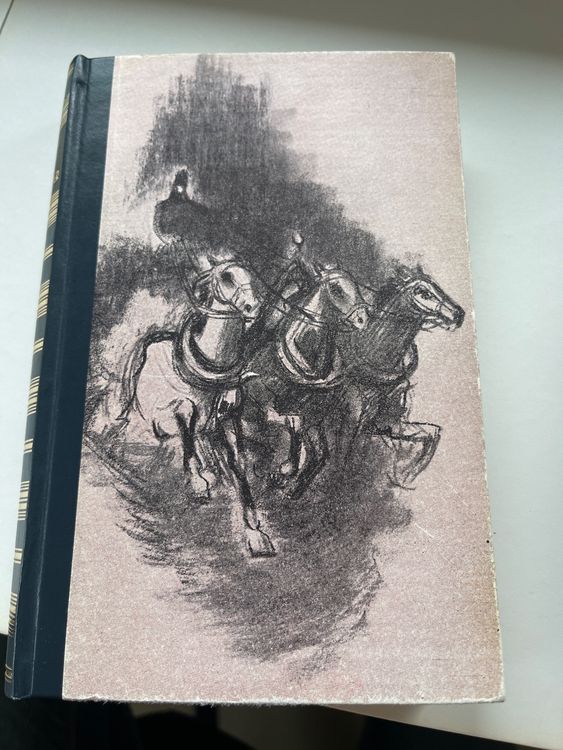 Fünf RomanKlassiker mit speziellen Buchdeckeln Kaufen auf Ricardo