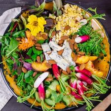 Profile image of insalatamista