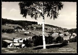 AK Wolfhalden /App., Schönenbühl mit Birke