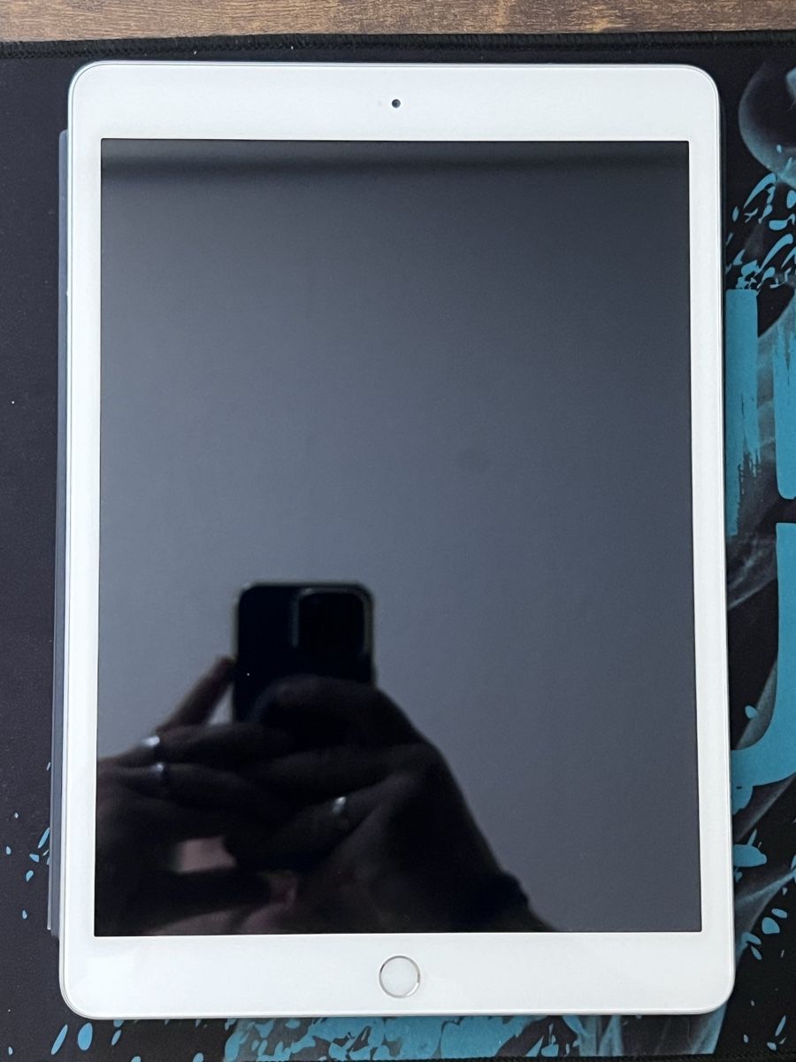 Apple Tablet PC: iPad 7 32GB Wi-Fi Akku 94%  – Usato da Wädenswil venduto da dai_2bcv