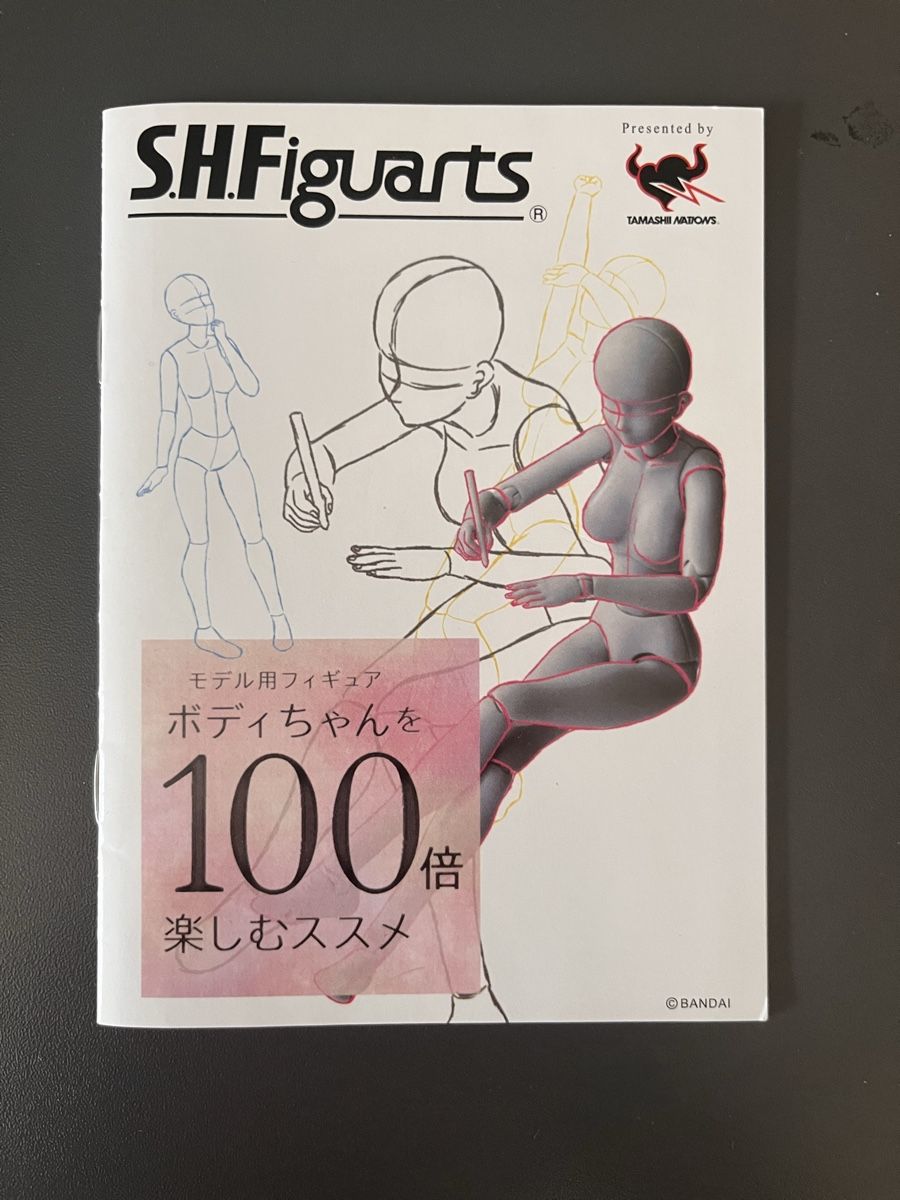 Statuette: S.H.Figuarts voll bewegliche Kunstfigur – Nuovo (secondo la descrizione) da Hausen AG venduto da ver_6lgn 4