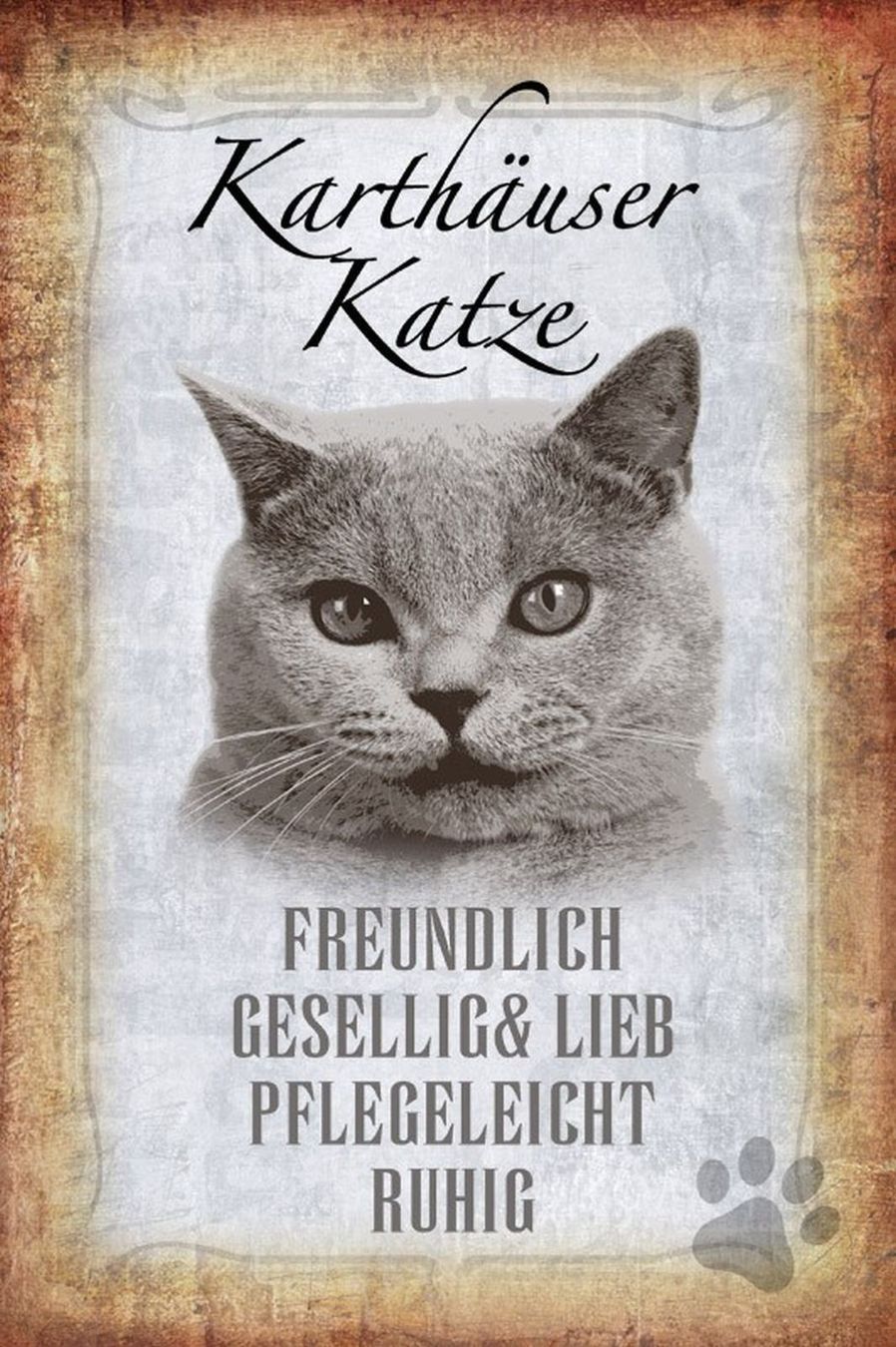 Insegne: Blechschild-STECKBRIEF-KARTHÄUSER KATZE – Nuovo e nell'imballaggio originale da Rupperswil venduto da big-one-sale