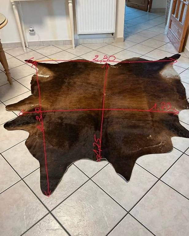 Tappeti: Tapis peau de vache véritable – Usato da Vessy venduto da M974