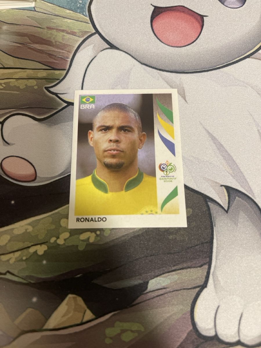 Panini Carte collezionabili: Panini WM Germany 2006 – Nuovo (secondo la descrizione) da Wohlen AG venduto da VittorioXY 2