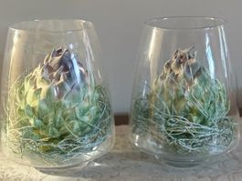 Deko Glas Vasen Windlichter mit Artischockenblüte Pfister