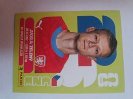 CZE 6