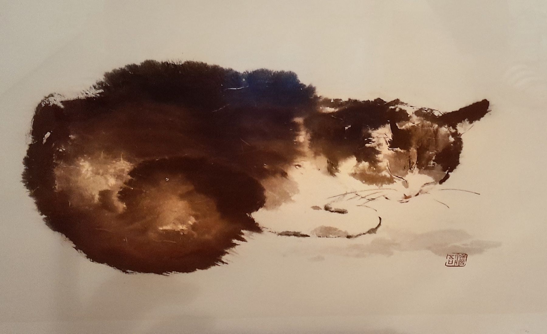 Foto & Immagini: Asiatika Kunstbild schlafende Katze – Usato da Zürich venduto da Janeway85 1