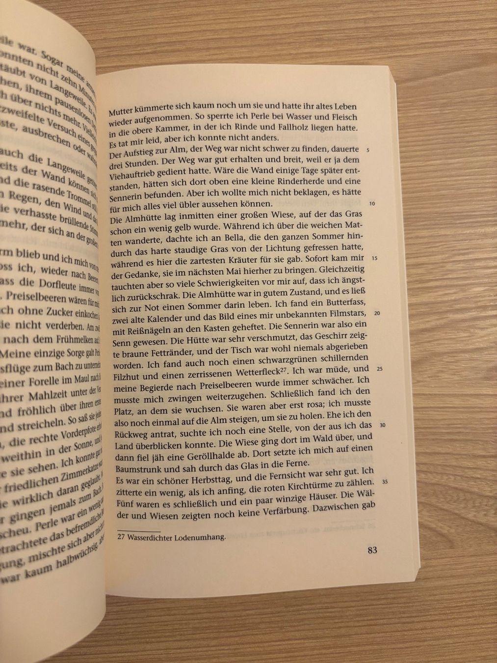 Bücher: Die Wand, Marlen Haushofer – Gebraucht aus Niederrohrdorf von Madoqua 4