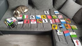 aus Haushaltsauflösung Kantontswappen, einige doppelt