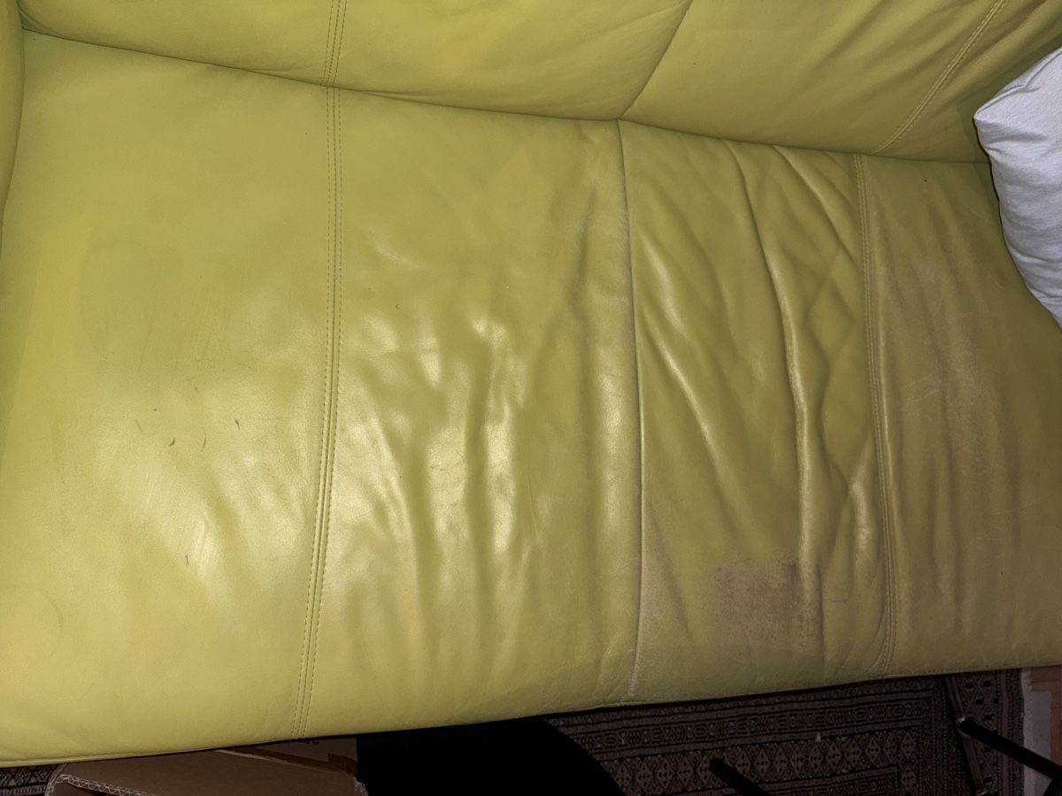 Sofas: hellgrünes Ledersofa – D'occasion à Kreuzlingen par sasha__ 2