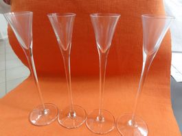 Grappa / Schnapsgläser