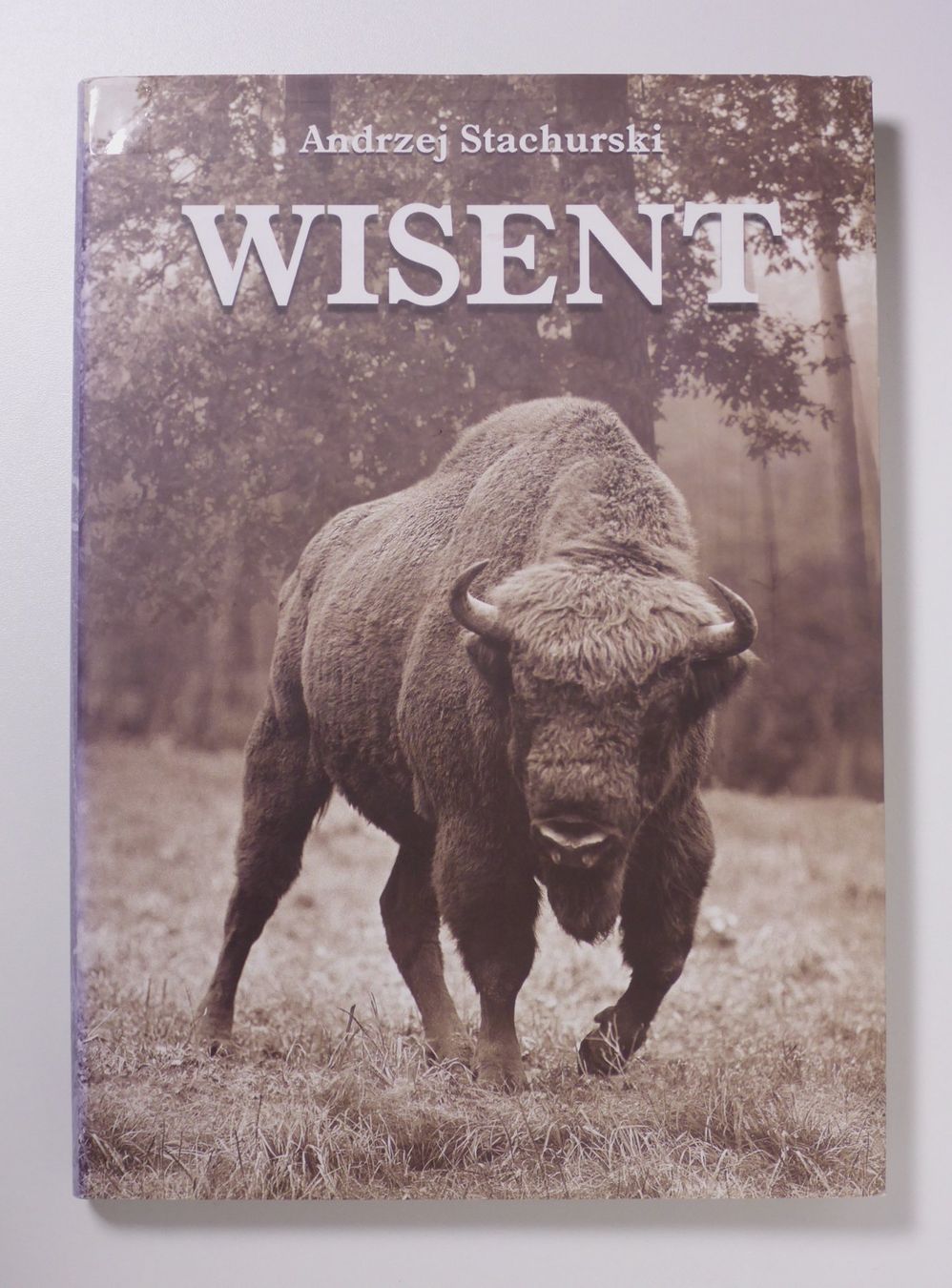 Libri: A. Stachurski: Wisent – Usato da Erschwil venduto da taglang