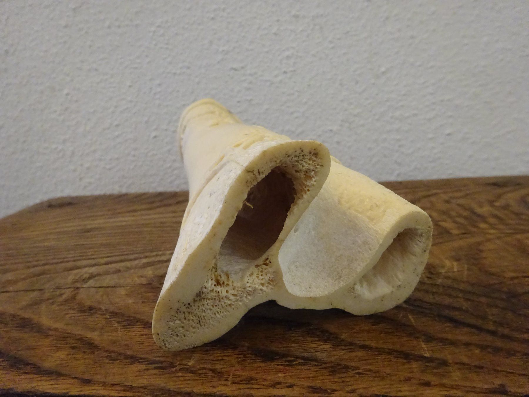 Sculture & Statue: Antike Skulptur aus Bein Japan – Usato da Esslingen venduto da eintagammeer 8