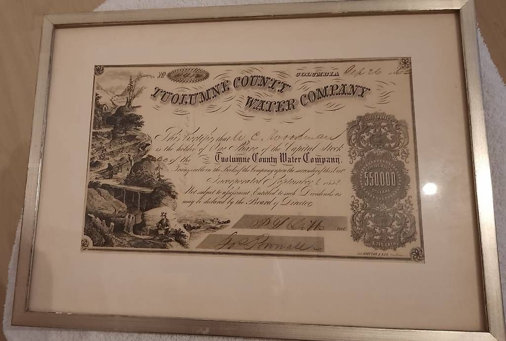 Foto & Immagini: Goldwäscher - Zertifikat – Usato da Zuckenriet venduto da Delta31