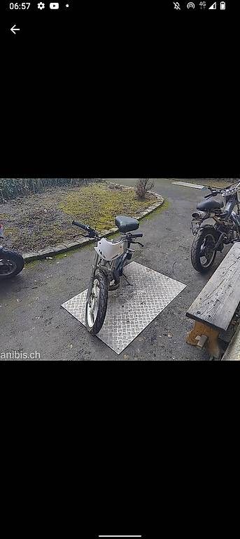 Piaggio Mofas: Piaggio ciao – Gebraucht aus Monthey von manel187
