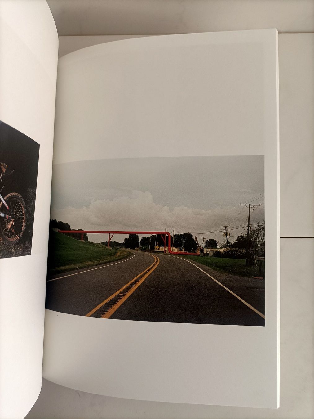 Libri: Do not feed alligators /  David Shama / Damiani 2018 – Usato da crans montana venduto da AB3963 3