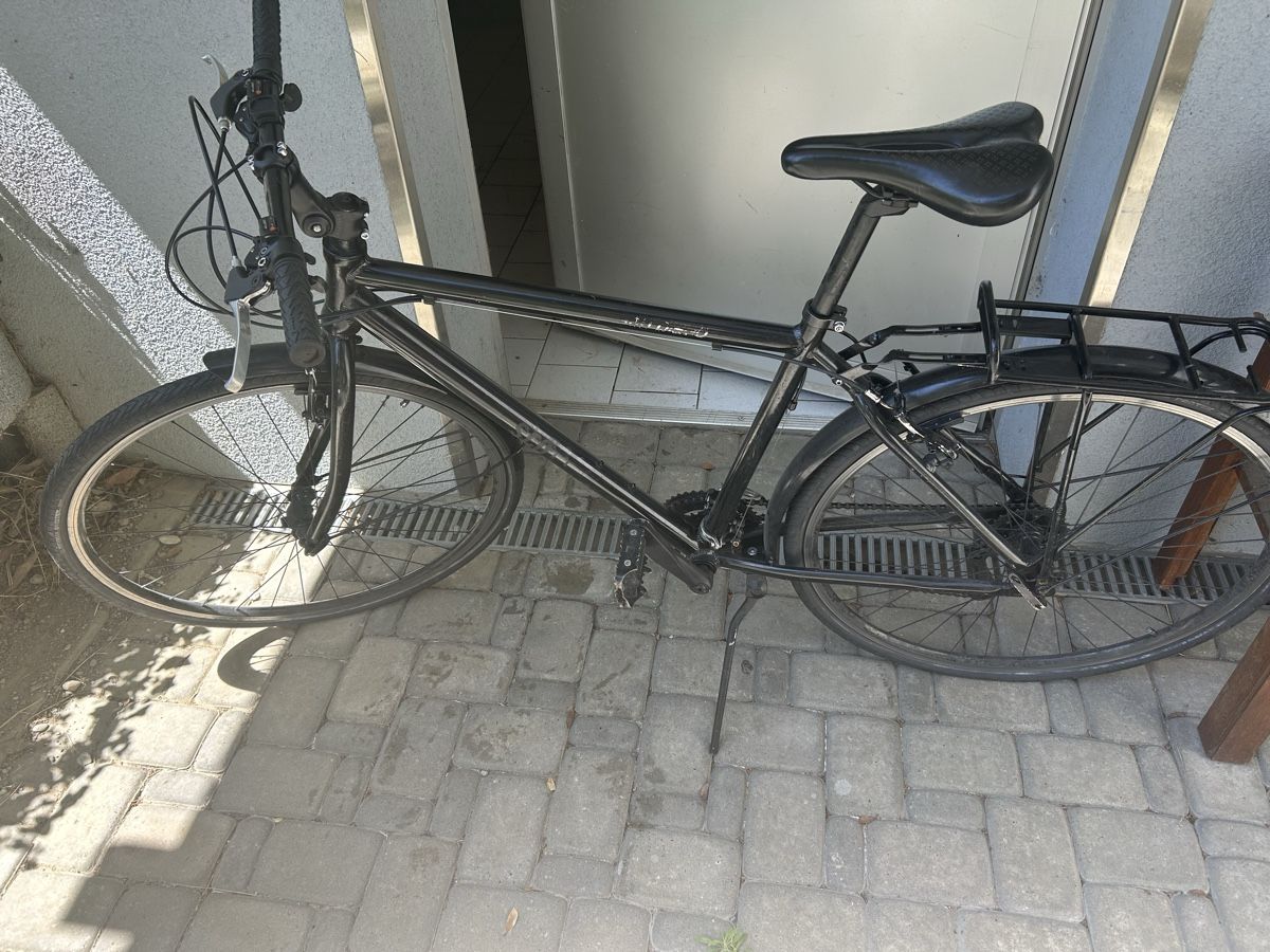 Biciclette: Vélo pour bricoleur, 12 vitesse – Usato da Lausanne venduto da lavirgule