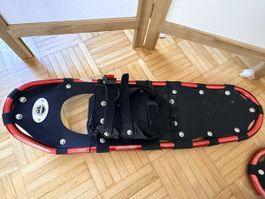 Paire de raquette de neige adulte