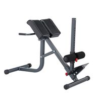 BodyCraft Rückentrainer F670