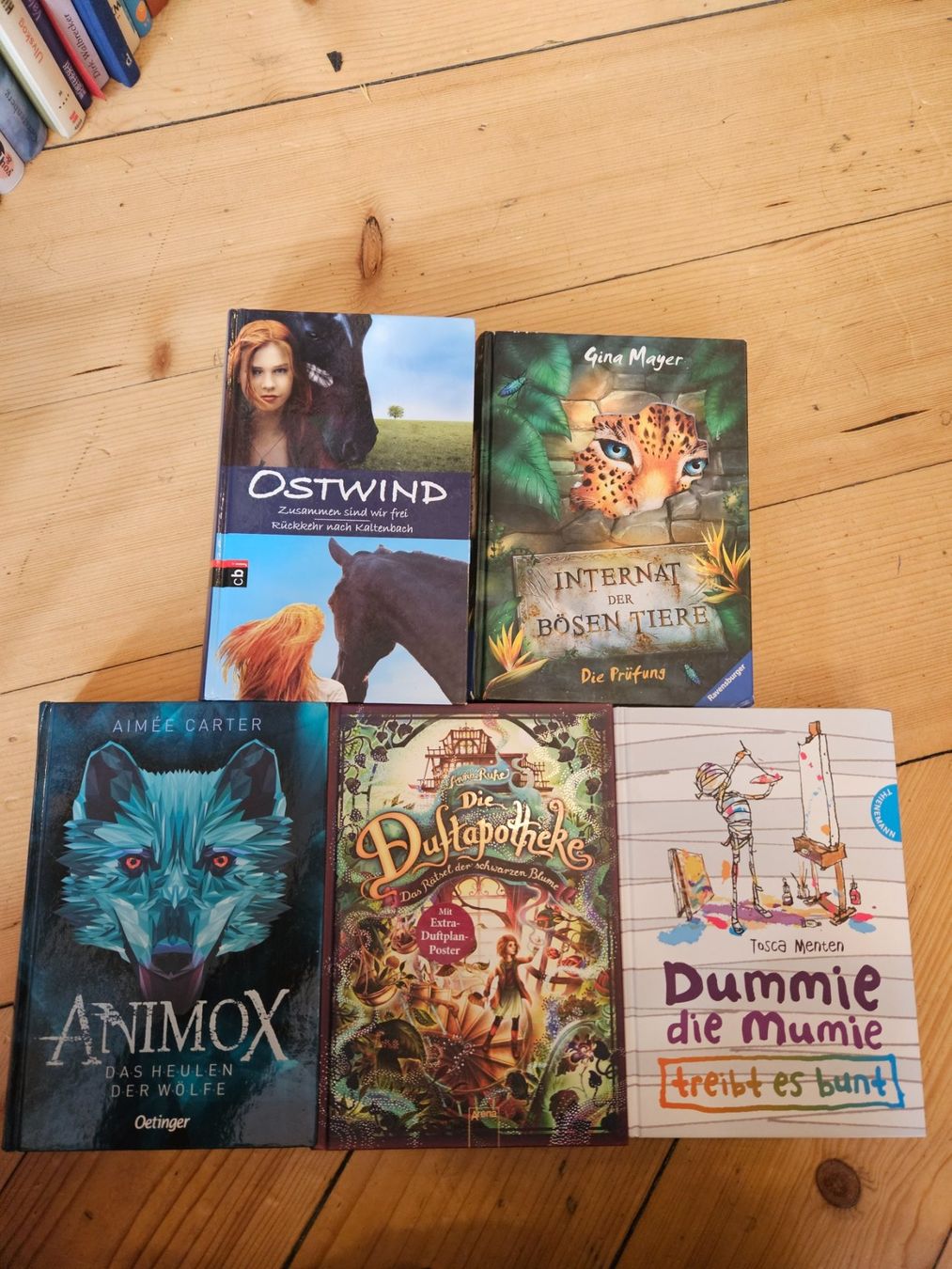 Libri: 5x Jugendbücher best off – Usato da Winterthur venduto da rahelmedeaL