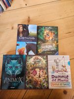 5x Jugendbücher best off