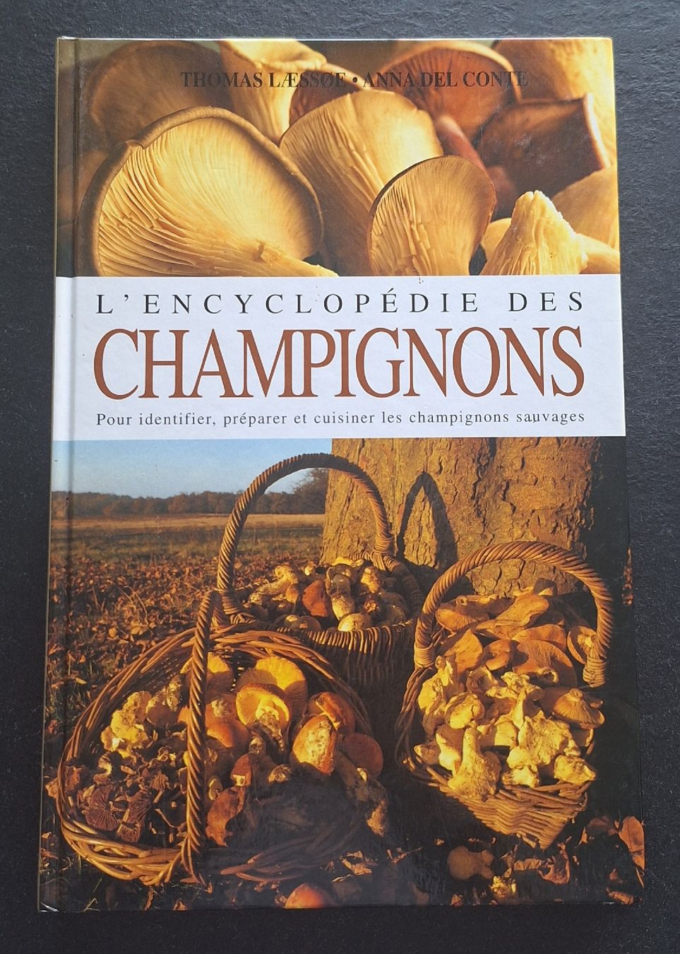 Libri: 2 livres sur les champignons – Usato da Monthey venduto da ditty