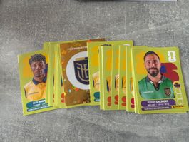 Panini ECU Bilder zum aussuchen