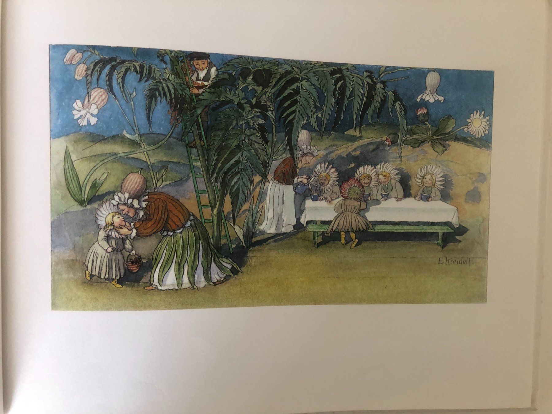 Libri: Blumen-Märchen von Ernst Kreidolf – Usato da Bassersdorf venduto da sammelfloh 6