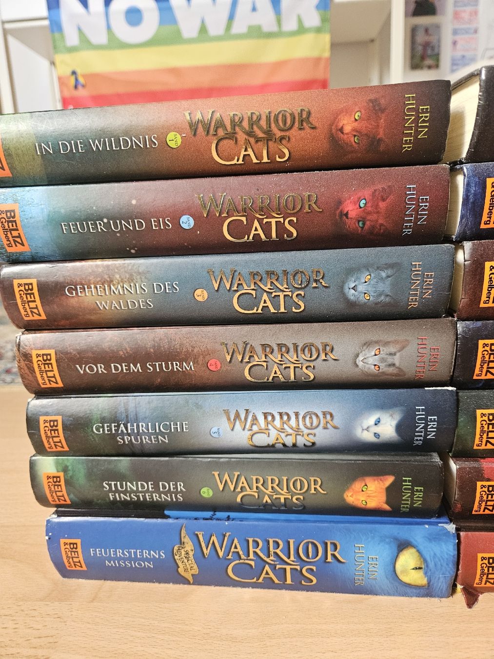 Livres: Warrior Cats Bücher + Comics + Seekers Erin Hunter – D'occasion à Laufenburg par tinayv 1