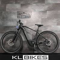 E-BIKE ADVANCED 25KM/H | BOSCH ELEKTROVELO | 85NM & 625WH