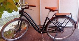 Velo Fahrrad Alltagvelo Elops