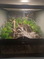 Exo Terra Terrarium