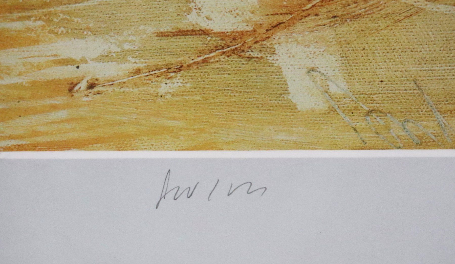 Grafica & Litografie: Katharina Riedel (1940), Kunstdruck "Sturm", handsigniert – Usato da Zug venduto da Kunst-Fundgrube 2