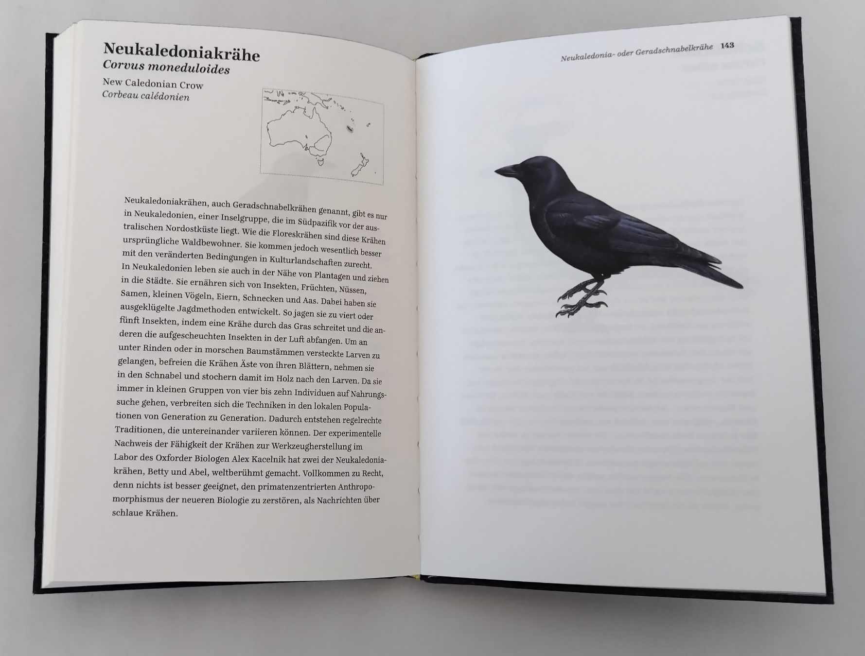 Libri: Krâhen - Ein Portrait / Vogel Buch 2013 mit 156 Seiten – Usato da Bellach venduto da JingleJerry 9