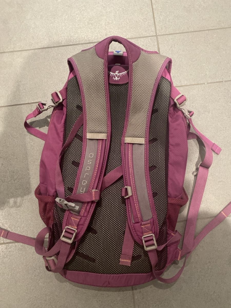 Osprey Zaini: Osprey Tagesrucksack Daylite – Usato da Muri AG venduto da sonneblueme10 1