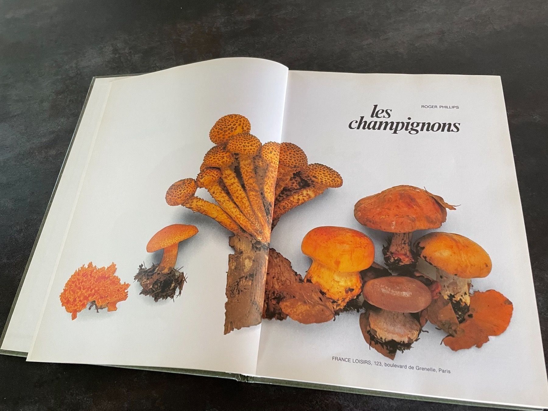 Bücher: Livre Les Champignons Roger Phillips – Gebraucht aus Vallamand von Bricbracbroc82 1