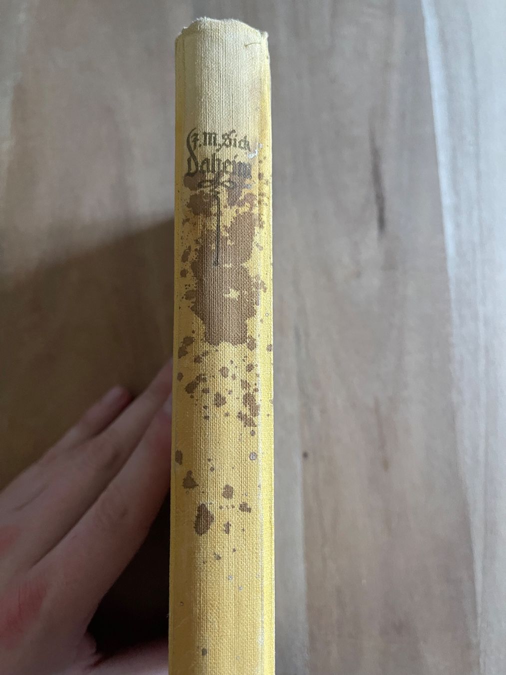 Libri: Daheim - Bilder von dem alten Pfarrhaus – Usato da Zuerich venduto da Dorsi 1