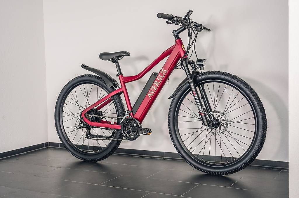 Biciclette: Aversus Bergsteiger E-Bike – Usato da Oftringen venduto da AversusBikestore 1