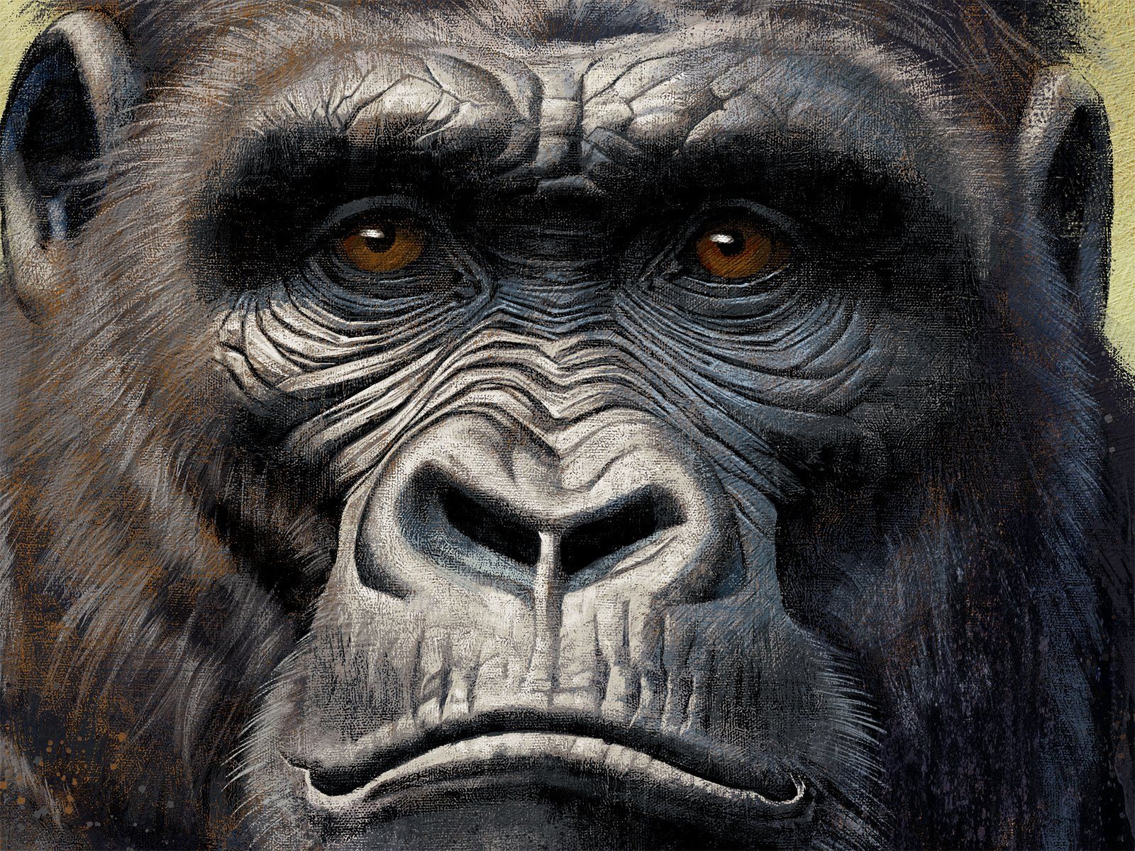 Foto & Immagini: Kunstdruck - GORILLA - Poster von Christian Kitzmüller – Nuovo e nell'imballaggio originale da Bülach venduto da chr_fdw8 1