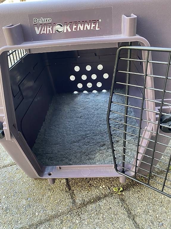 Cucce & Letti: Vario Kennel Hundbox – Usato da Gempenach venduto da Mittelpudel 1