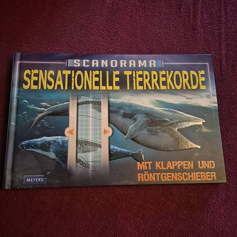 Libri: Sensationelle Tierrekorde – Nuovo e nell'imballaggio originale da Bülach venduto da eli_sm92