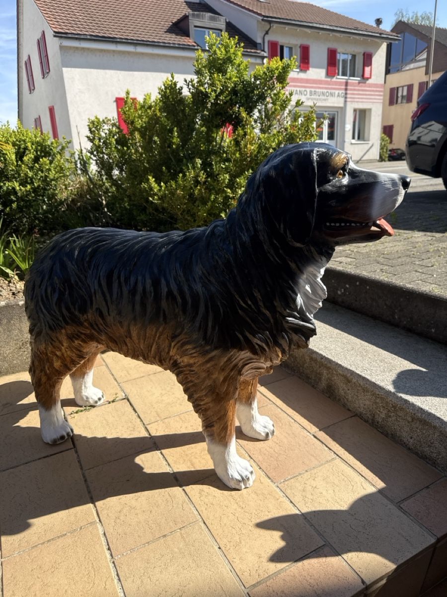 Statuette: Berner Sennenhund, Garten Deko,NEU! – Nuovo e nell'imballaggio originale da Zwingen venduto da Eiphone 1